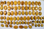 Tiger EYE 